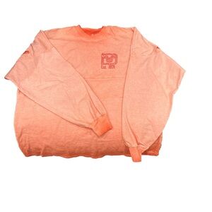 Disney Spirit Jersey